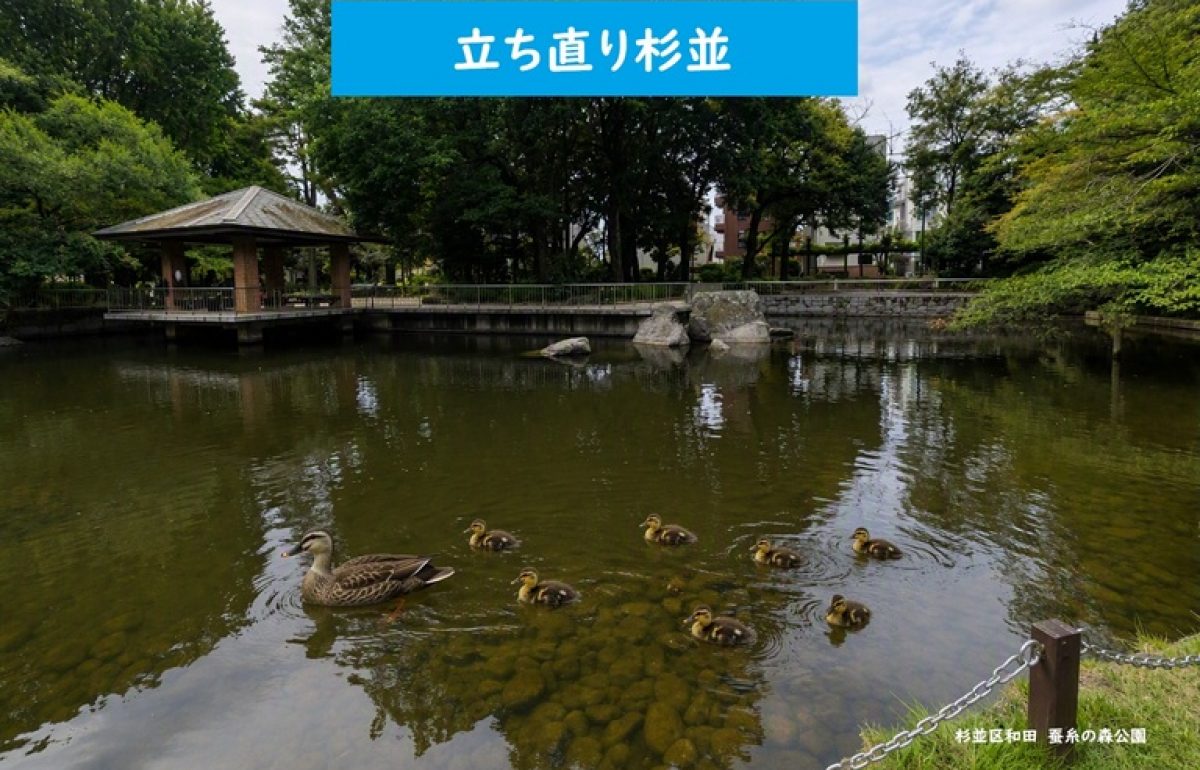 立ち直り杉並