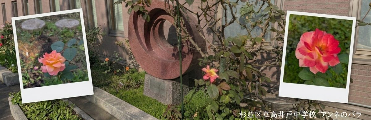 立ち直り杉並