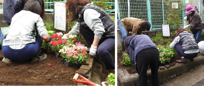 花壇整備 高井戸第四小学校支援本部 そよかぜ本部